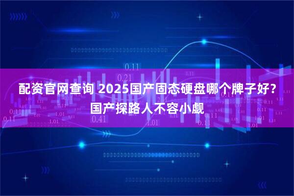 配资官网查询 2025国产固态硬盘哪个牌子好？国产探路人不容小觑