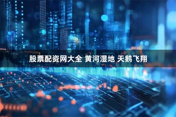 股票配资网大全 黄河湿地 天鹅飞翔