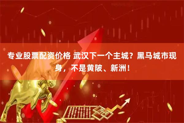 专业股票配资价格 武汉下一个主城？黑马城市现身，不是黄陂、新洲！