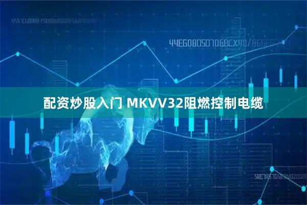 配资炒股入门 MKVV32阻燃控制电缆