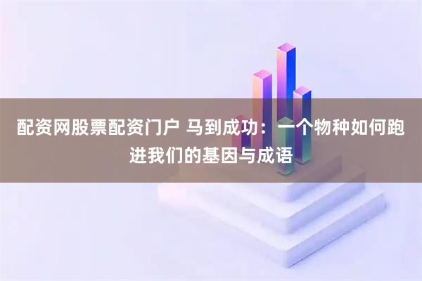 配资网股票配资门户 马到成功：一个物种如何跑进我们的基因与成语