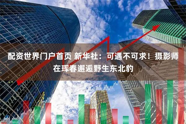 配资世界门户首页 新华社:可遇不可求!摄影师在珲春邂逅野生东北豹