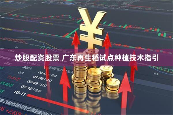 炒股配资股票 广东再生稻试点种植技术指引