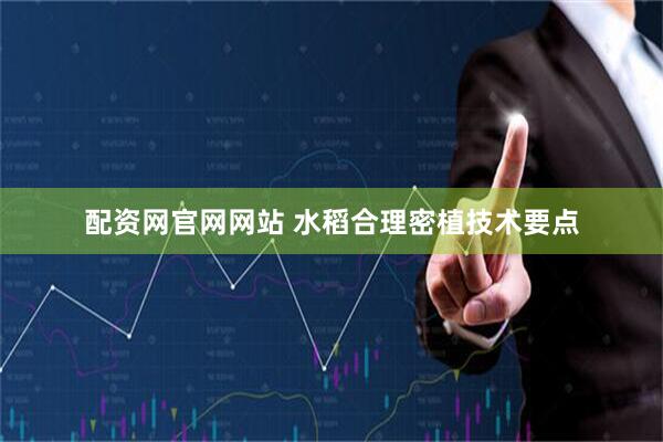 配资网官网网站 水稻合理密植技术要点