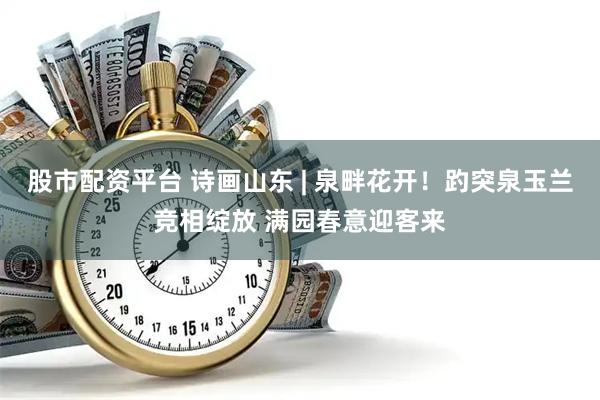 股市配资平台 诗画山东 | 泉畔花开！趵突泉玉兰竞相绽放 满园春意迎客来