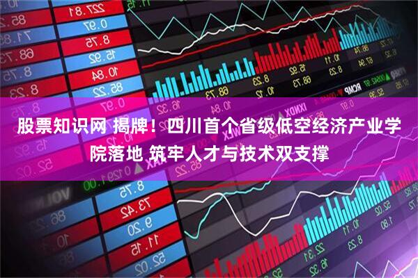 股票知识网 揭牌！四川首个省级低空经济产业学院落地 筑牢人才与技术双支撑
